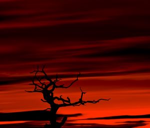 Preview wallpaper tree, dark, sky, dusk, red