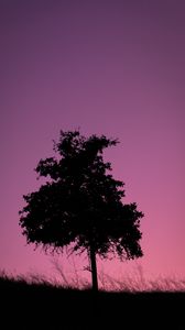 Preview wallpaper tree, dark, twilight, nature