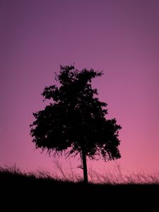 Preview wallpaper tree, dark, twilight, nature