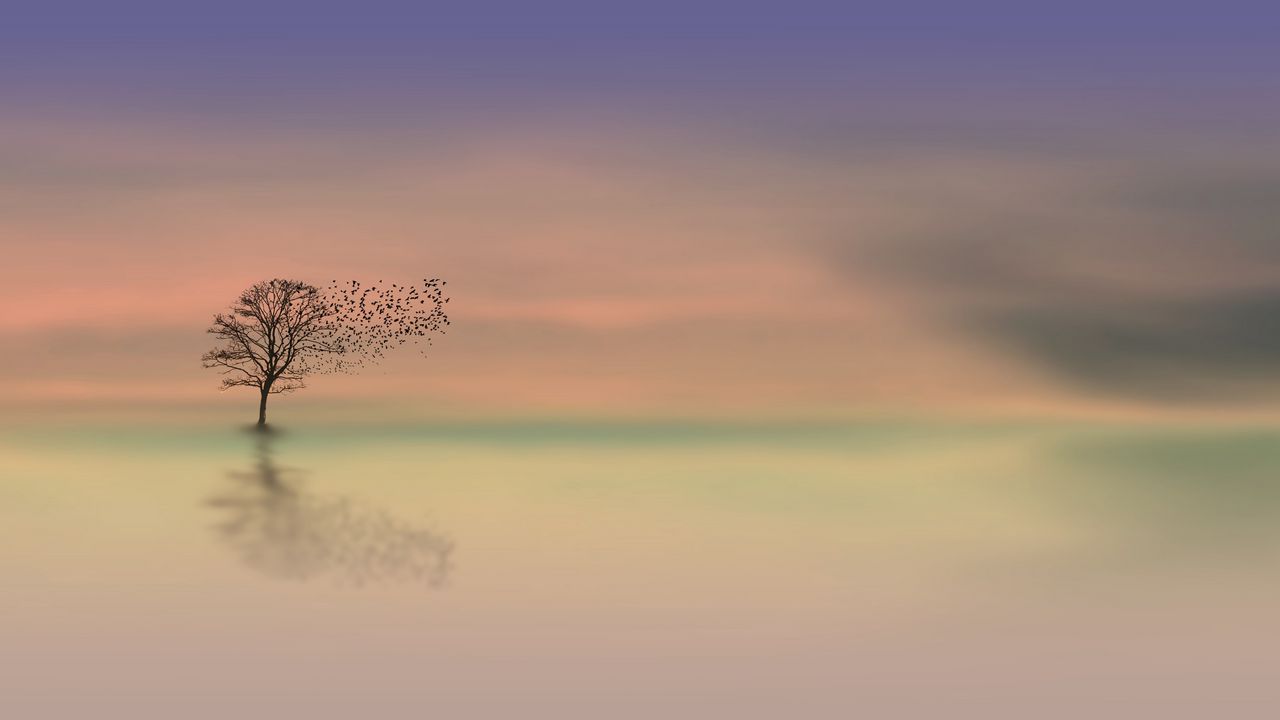 Wallpaper tree, dawn, lonely, horizon, minimalism