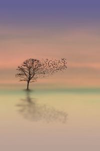 Preview wallpaper tree, dawn, lonely, horizon, minimalism