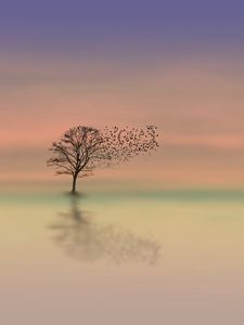 Preview wallpaper tree, dawn, lonely, horizon, minimalism