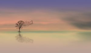 Preview wallpaper tree, dawn, lonely, horizon, minimalism