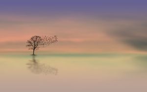 Preview wallpaper tree, dawn, lonely, horizon, minimalism