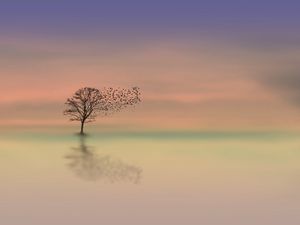 Preview wallpaper tree, dawn, lonely, horizon, minimalism