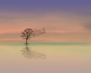 Preview wallpaper tree, dawn, lonely, horizon, minimalism