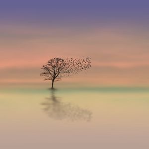 Preview wallpaper tree, dawn, lonely, horizon, minimalism