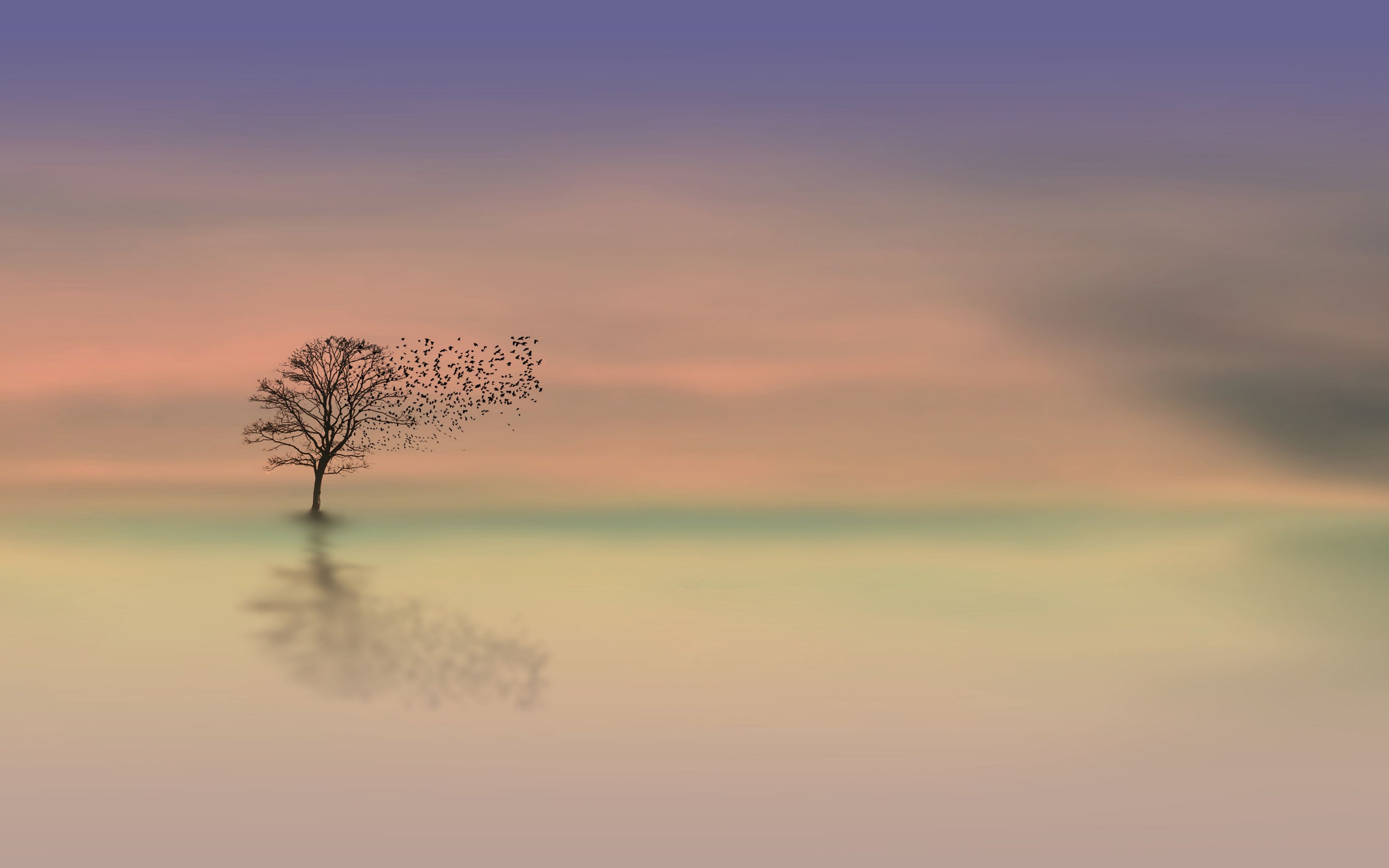 Download wallpaper 3840x2400 tree, dawn, lonely, horizon, minimalism 4k