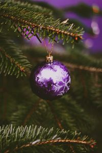 Preview wallpaper tree, decoration, ball, purple, holiday