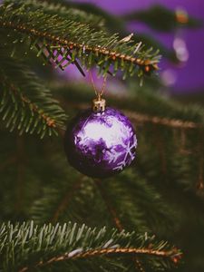 Preview wallpaper tree, decoration, ball, purple, holiday