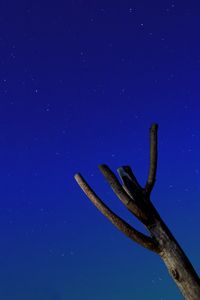 Preview wallpaper tree, driftwood, starry sky, stars, night