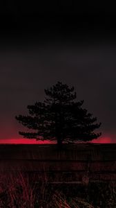 Preview wallpaper tree, evening, field, silhouette, dark