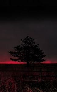 Preview wallpaper tree, evening, field, silhouette, dark