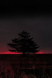 Preview wallpaper tree, evening, field, silhouette, dark