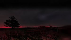 Preview wallpaper tree, evening, field, silhouette, dark