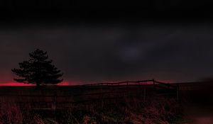 Preview wallpaper tree, evening, field, silhouette, dark