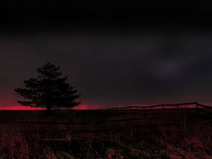 Preview wallpaper tree, evening, field, silhouette, dark