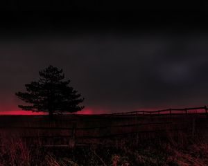 Preview wallpaper tree, evening, field, silhouette, dark