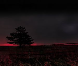 Preview wallpaper tree, evening, field, silhouette, dark