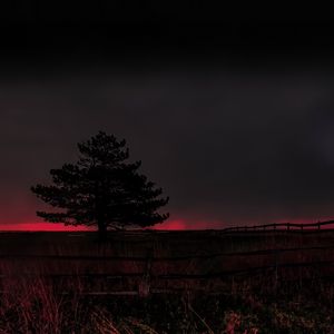 Preview wallpaper tree, evening, field, silhouette, dark