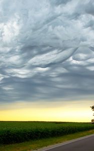 Preview wallpaper tree, evening, road, intersection, field, clouds, air