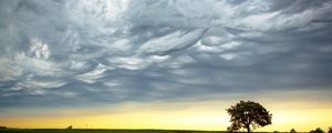 Preview wallpaper tree, evening, road, intersection, field, clouds, air