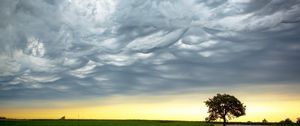 Preview wallpaper tree, evening, road, intersection, field, clouds, air