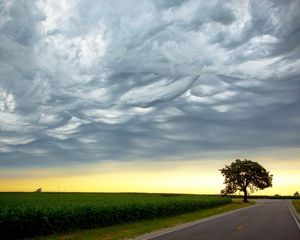 Preview wallpaper tree, evening, road, intersection, field, clouds, air