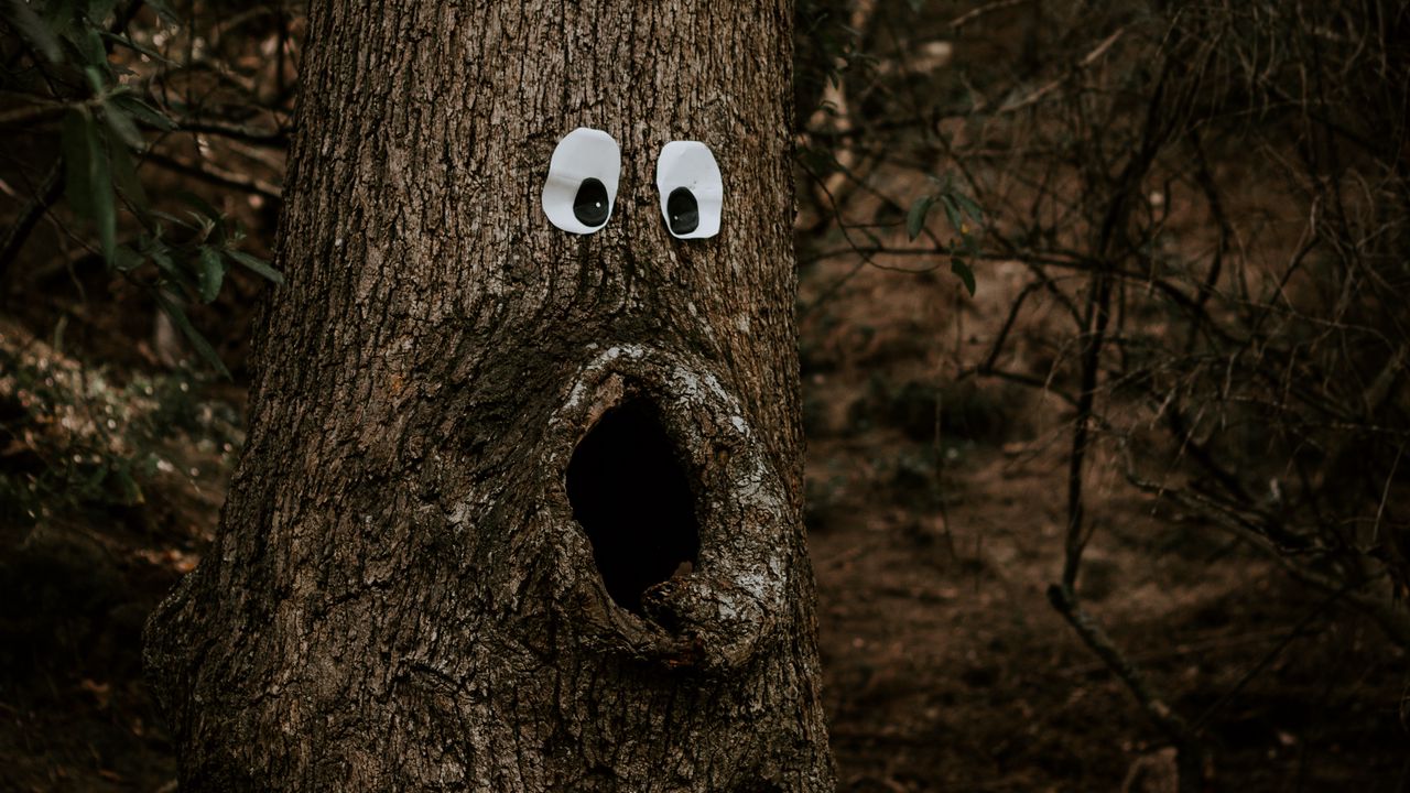 Wallpaper tree, eyes, trunk, bark, funny, humor