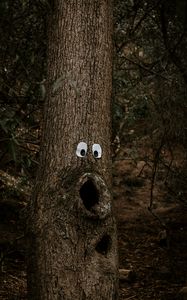 Preview wallpaper tree, eyes, trunk, bark, funny, humor
