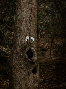 Preview wallpaper tree, eyes, trunk, bark, funny, humor
