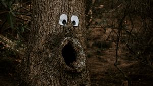 Preview wallpaper tree, eyes, trunk, bark, funny, humor