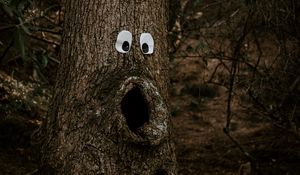 Preview wallpaper tree, eyes, trunk, bark, funny, humor