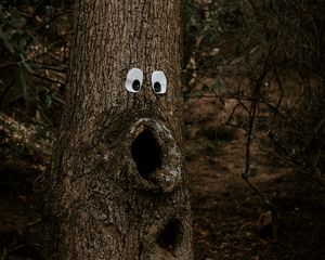 Preview wallpaper tree, eyes, trunk, bark, funny, humor