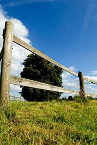 Preview wallpaper tree, fence, boards, summer