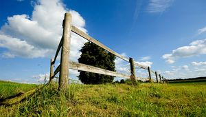 Preview wallpaper tree, fence, boards, summer