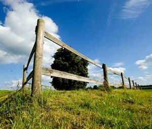 Preview wallpaper tree, fence, boards, summer