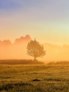 Preview wallpaper tree, fence, grass, sun