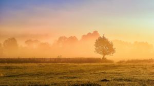 Preview wallpaper tree, fence, grass, sun