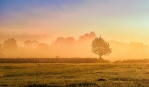 Preview wallpaper tree, fence, grass, sun