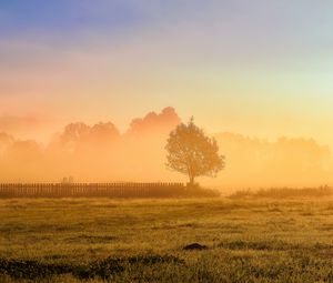 Preview wallpaper tree, fence, grass, sun