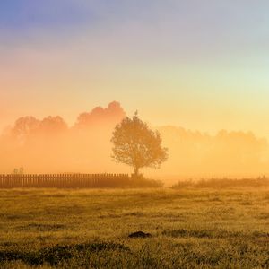 Preview wallpaper tree, fence, grass, sun