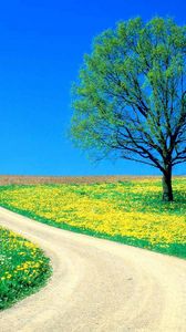 Preview wallpaper tree, field, flowers, dandelions, road