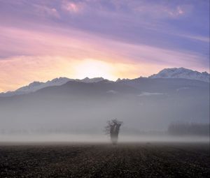 Preview wallpaper tree, field, fog, mountains, sunrise, nature