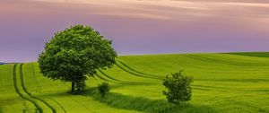 Preview wallpaper tree, field, grass, landscape, nature, green