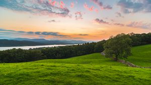 Preview wallpaper tree, field, grass, evening, clouds