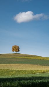 Preview wallpaper tree, field, hills, cloud, landscape