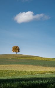 Preview wallpaper tree, field, hills, cloud, landscape