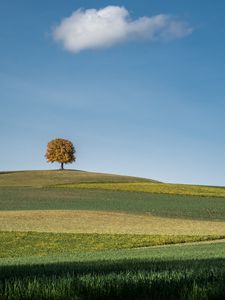 Preview wallpaper tree, field, hills, cloud, landscape