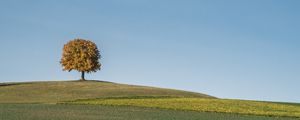 Preview wallpaper tree, field, hills, cloud, landscape